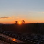 The History of Donahue & Sons and Why Vegetation Maintenance is Necessary to the Commercial Solar Industry